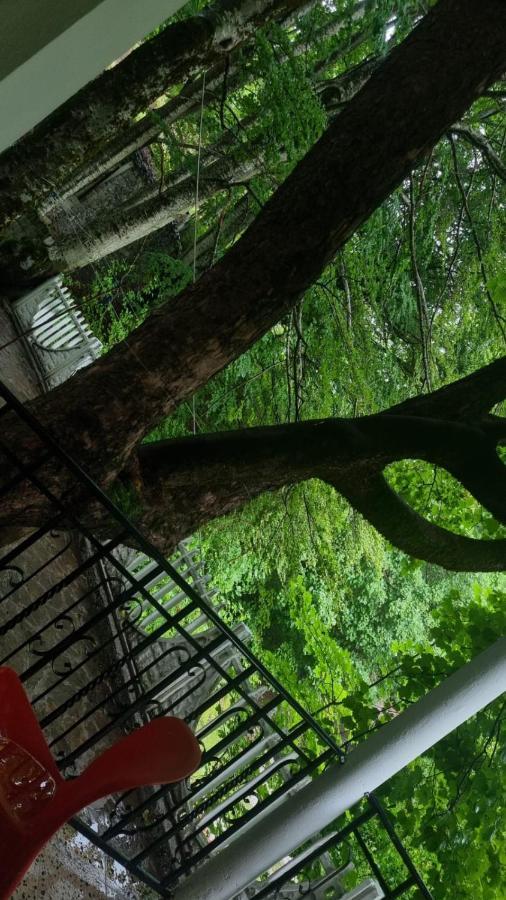 Bujtina Te Grima Hotel Theth Bagian luar foto